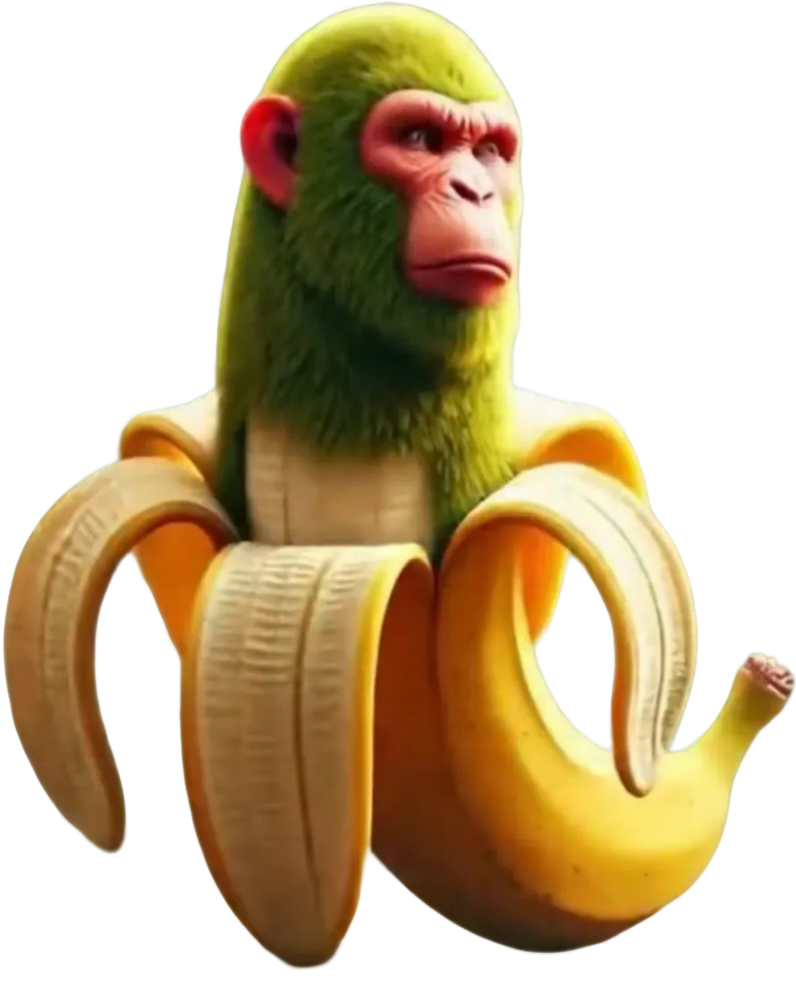 meme